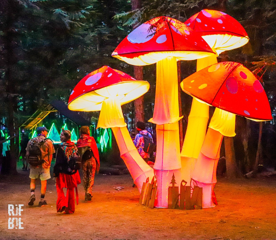 Shambhala Music Festival and The Living Room Stage are proud to announce the 2020 Living Room lineup